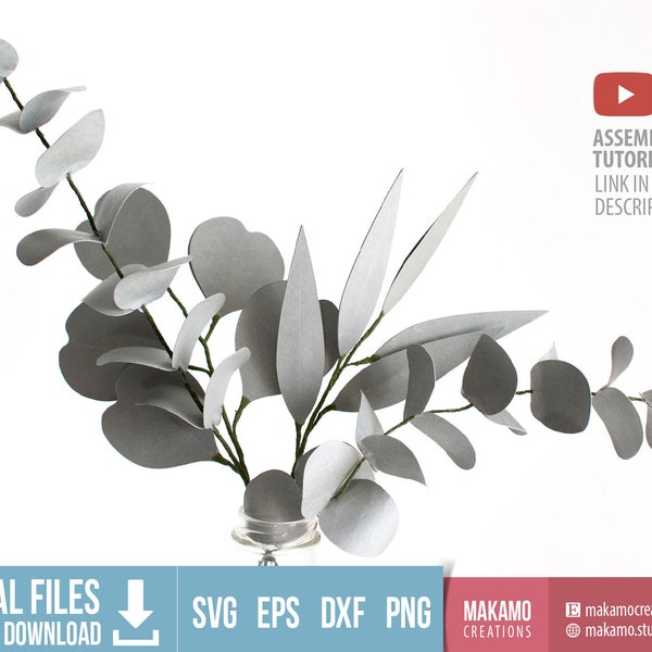 3D Paper Eucalyptus leaves svg cut files for cricut, Realistic silver dollar eucalyptus, DIY Home Decor, Flower Bouquet arrangements svg