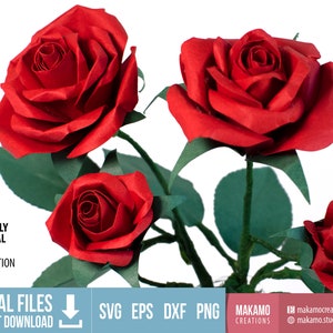 3D-papier Rose Svg, roos sjabloon voor cricut, papieren bloem, realistische roos svg, Valentijnsdag cadeau, Moederdag, verjaardag, bruiloft decor