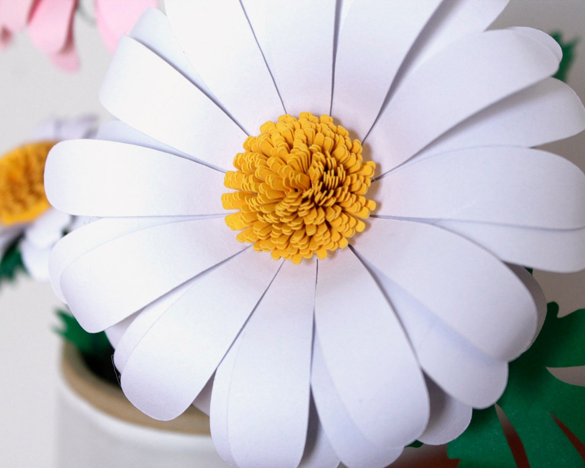Download 3D Daisy Svg Bundle Paper Flower templates: Gerbera Daisy | Etsy