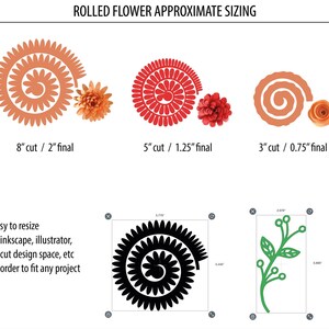 rolled flowers sizes