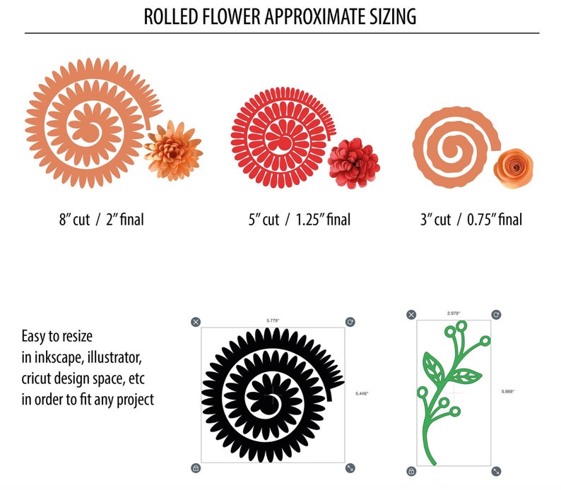 rolled flowers sizes