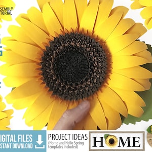 Girasole 3D svg, Girasole di carta svg, Modello di fiore di carta girasole SVG, Cartello domestico svg, download immediato, progetto fai da te Cricut, 8 pollici