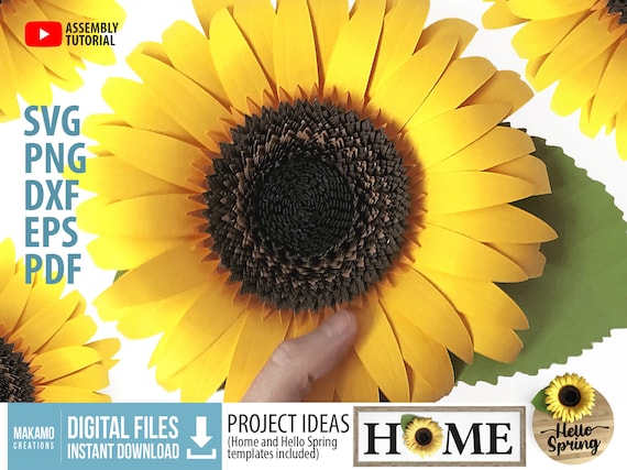 Free Free 171 Sunflower Svg Paper SVG PNG EPS DXF File