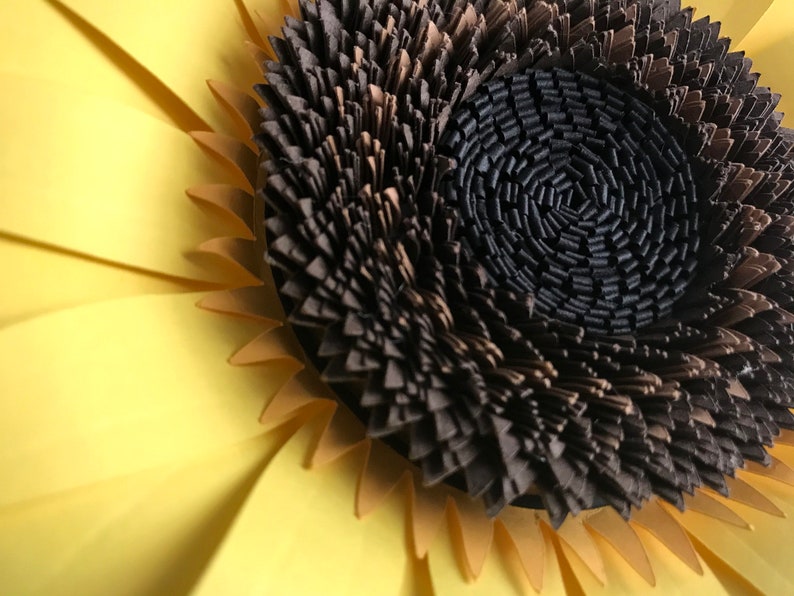 Download Sunflower Paper Flower Template Svg Home Sign Svg Paper Sunflower Svg 3d Sunflower Svg Cricut Diy Project Instant Download Clip Art Art Collectibles