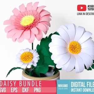 Pacchetto 3D Daisy Svg, modelli di fiori di carta: Gerbera Daisy Svg, Creeping Daisy Svg, Common Daisy Svg, file di taglio per download digitale per Cricut