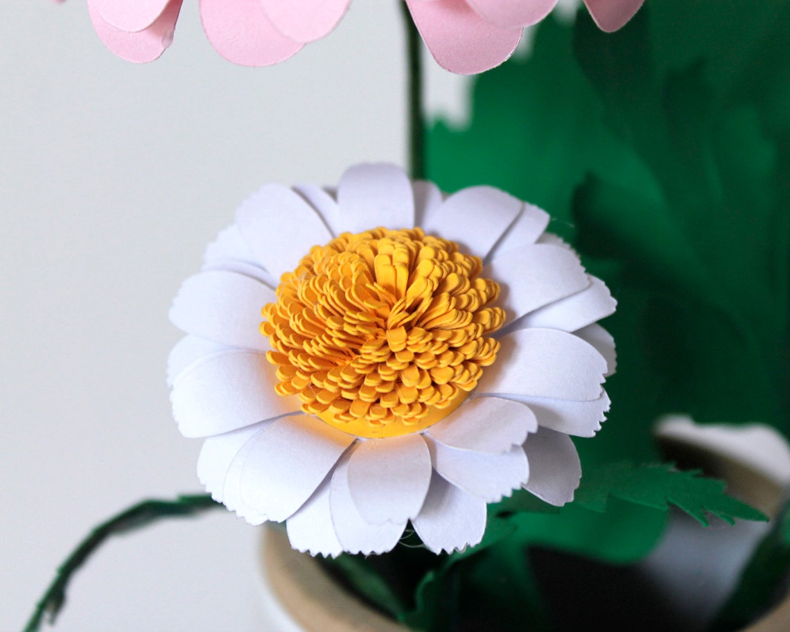 Download 3D Daisy Svg Bundle Paper Flower templates: Gerbera Daisy ...