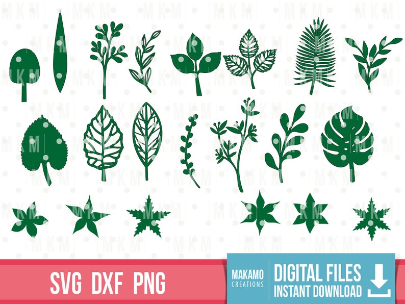 May include: A set of 20 green leaf and plant SVG cut files for crafting projects. The files include various leaf shapes, including palm leaves, monstera leaves, and fern leaves.