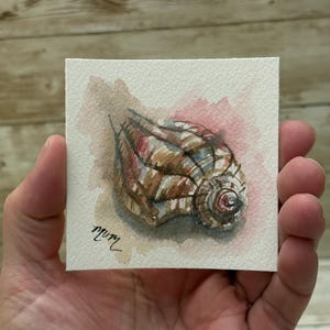 May include: Watercolor painting of a seashell on a square piece of paper. The shell is brown, tan, and white with a spiral design. The background has pink and brown watercolor washes. The artist's signature is in the lower left corner.