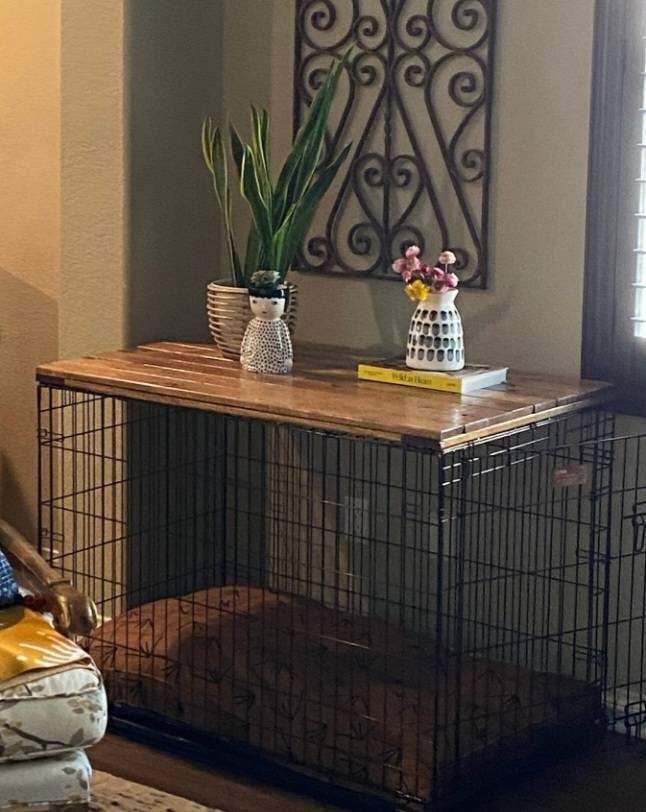 Best place to put dog crate online