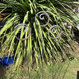 May include: Three metal garden stakes with spiral designs. The stakes are dark grey and have a rustic appearance. The spirals are silver and add a decorative touch. The stakes are placed in a grassy area with green foliage in the background.