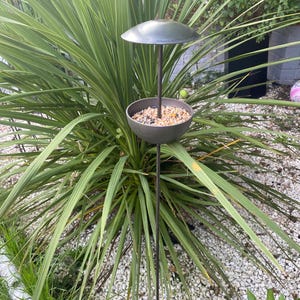 May include: A black metal bird feeder with a round bowl and a dome-shaped roof. The feeder is filled with birdseed and is mounted on a tall metal pole. The feeder is surrounded by green plants and white gravel.
