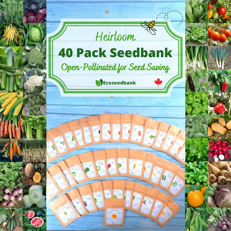 40 Pack Seedbank of Vegetable Fruit and Herb 2021 autumn winter new Seeds 40% OFF Cheap Sale Open-Polli -