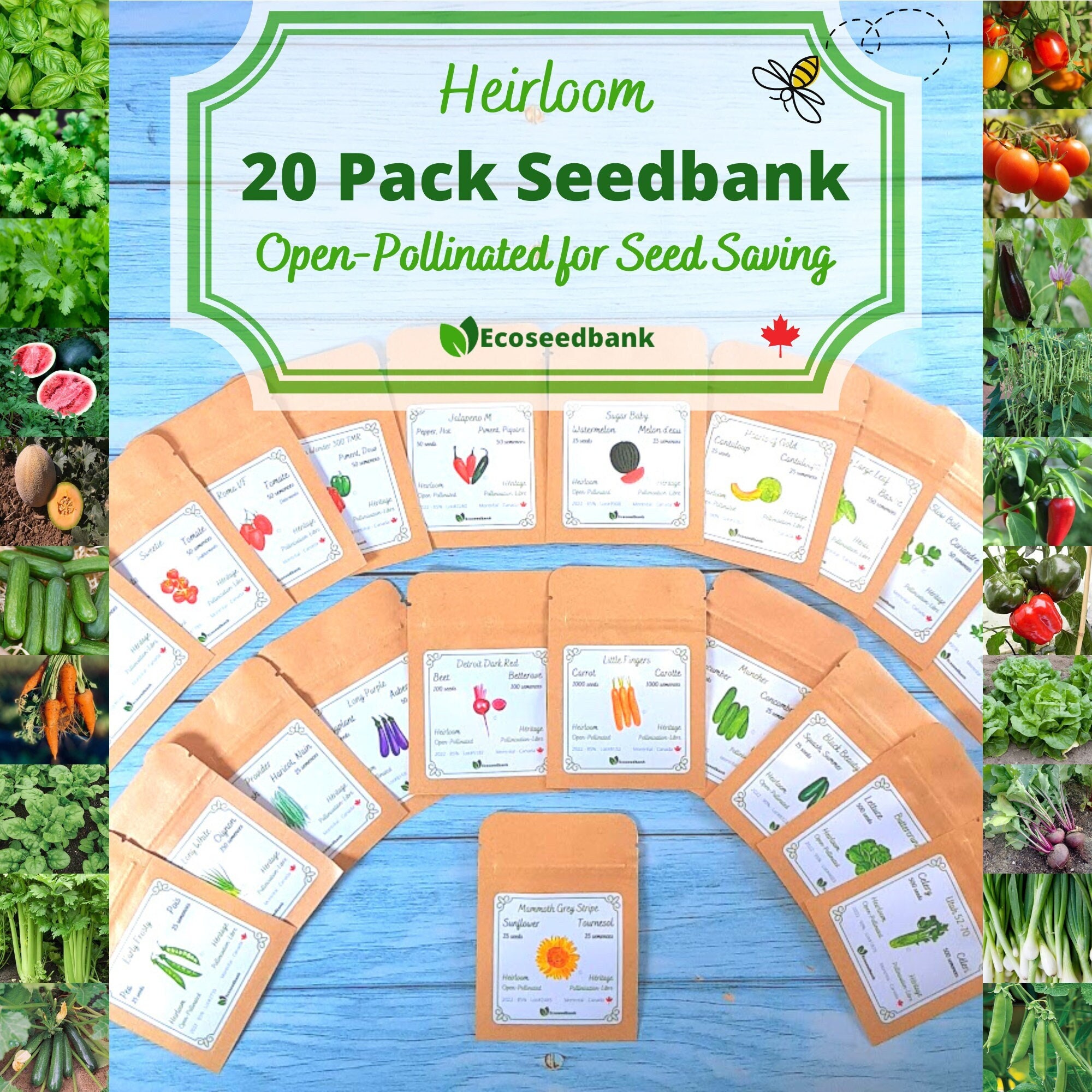 Ferns, Grasses & Bamboo Plants See Our Discount Coupon Codes. Strike Bush Bean Seeds Organic