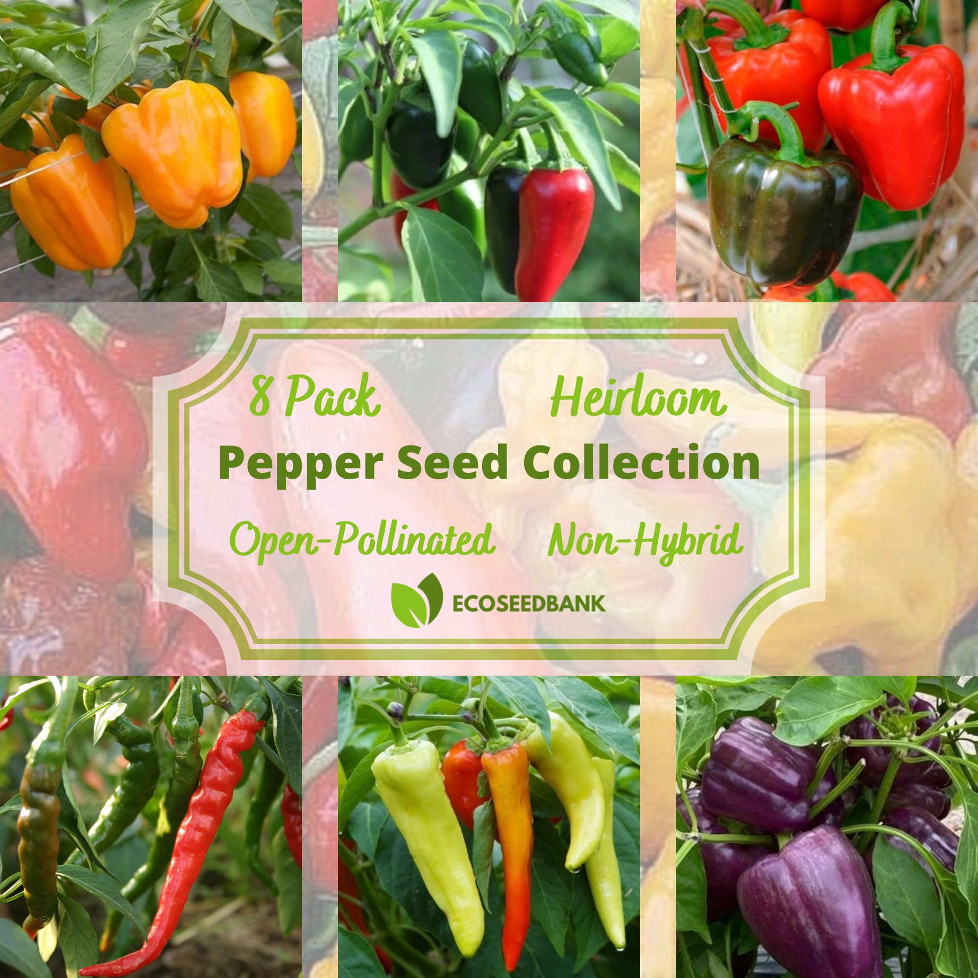 8 Pack Pepper Seed Garden Collection Hot & Sweet Bell Pepper Etsy