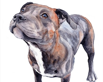 Staffordshire Bull Terrier Fine Art Giclée print, wall art, nursery art, dog print, dog art, home decor, pet portrait, watercolour staffie