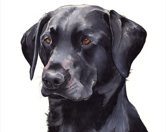Black Labrador Fine Art Giclée print, wall art, nursery art, dog print, dog art, wildlife, home decor, black dog, pet portrait, labrador