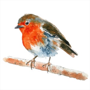 Robin print, wall art, nursery art, bird print, bird art, wildlife, home decor, robin red breast