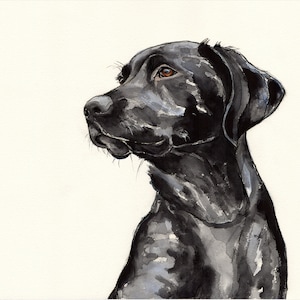 Black Labrador LIMITED EDITION Fine Art Giclée print, wall art, nursery art, dog print, home decor, black dog, pet portrait, labrador