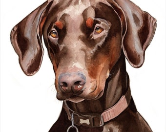 Doberman Fine Art Giclée print, wall art, nursery art, dog print, dog art, wildlife, home decor, brown dog, pet portrait, watercolour