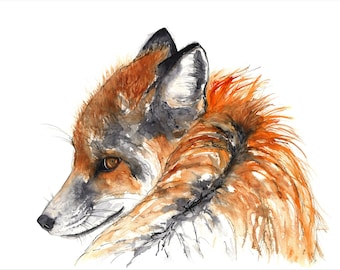 Red Fox LIMITED EDITION Giclée print, wall art, nursery art, fox print, british wildlife, home decor, animal print, watercolor fox