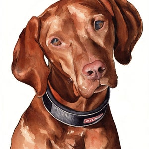 Ungarischer Vizsla Fine Art Giclée Druck, Wandkunst, Kinderzimmer Kunst, Hund Kunst, Wildtiere, Wohnkultur, brauner Hund, Haustierportrait