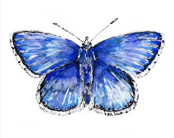 Adonis Blue butterfly print, wall art, nursery art, butterfly print, butterfly art, wildlife, home decor, blue butterfly, watercolour