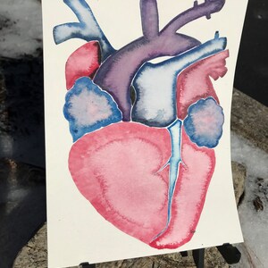 Anatomical Heart 1, 6x8, Original Watercolor Painting