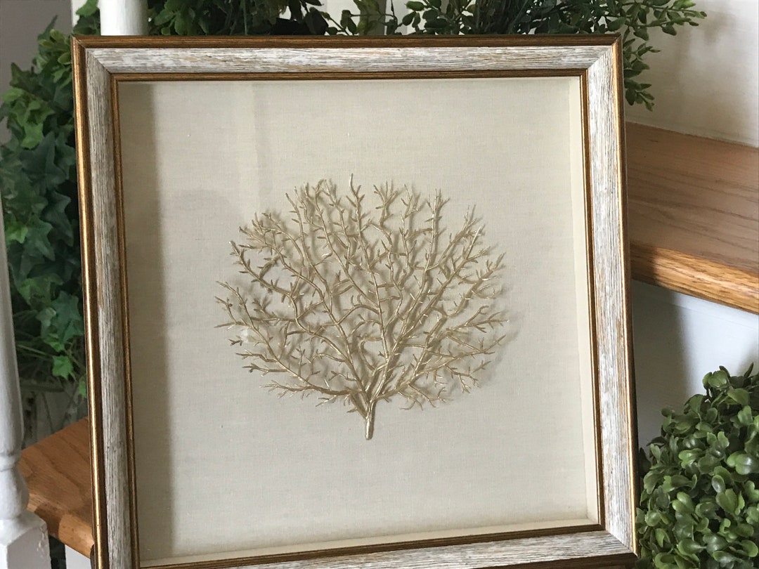 Shadowbox Sea Fan Art Faux Sea Fan Framed Wall Hanging Etsy