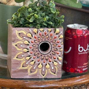 Decorative Camera Enclosure Wooden Pot  to hide a camera. 5”