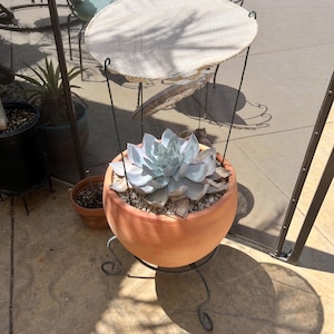 14” Plant Pal Sunburn Protector Shield