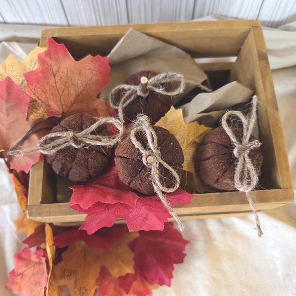 Applesauce Cinnamon Pumpkins: Scented Fall Decor, Bowl Filler, Set of Four