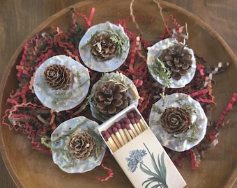 All Natural Pinecone Fire Starters | Woodsy Scent, Set of 6