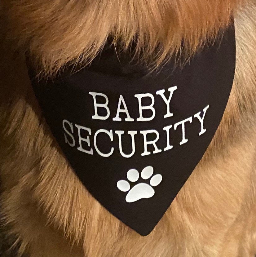 Black Dog Bandana Baby Security Security Pregnancy Etsy