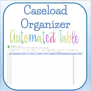 IEP Caseloads
