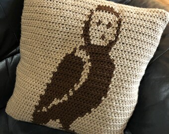 Owl Crochet Pillow Grid Pattern (PDF)
