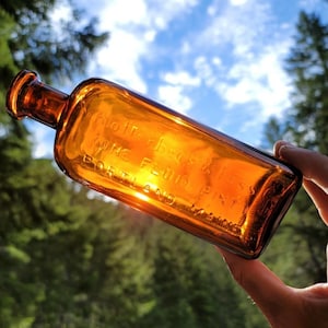 May include: Amber-colored glass bottle with embossed text. The bottle is rectangular with rounded edges and a short neck. The text reads "Whittier, Rich & Co. Cone Fluid Portland, Maine, Pint". The bottle is held against a backdrop of trees and a blue sky.