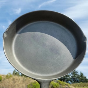 May include: A dark gray cast iron skillet with a long handle. The skillet is round with a flat cooking surface and sloped sides. The background features a blue sky and green foliage.