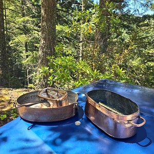 May include: Two antique copper pots with handles, one with a lid, sitting on a blue surface. The pots are in a forest setting with green trees and bushes in the background.
