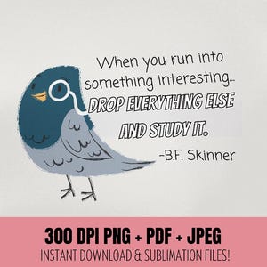 Cuando te encuentres con algo interesante... déjalo todo y estúdialo. Cita de B.F. Skinner. PNG PDF JPEG.