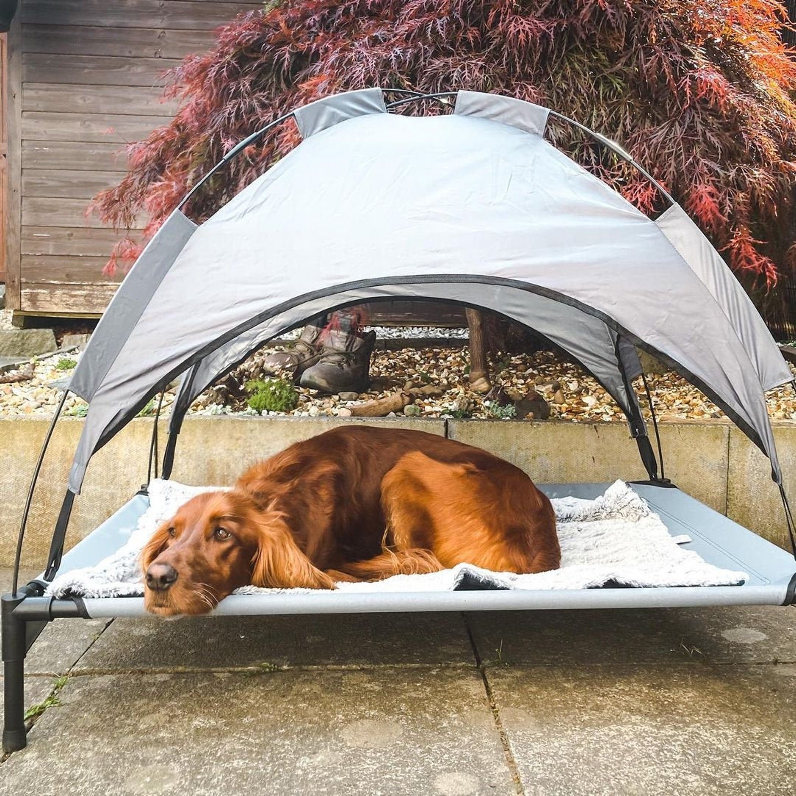 Raised Dog Bed With Canopy Sun Protector Pet Bed Outdoor Etsy
