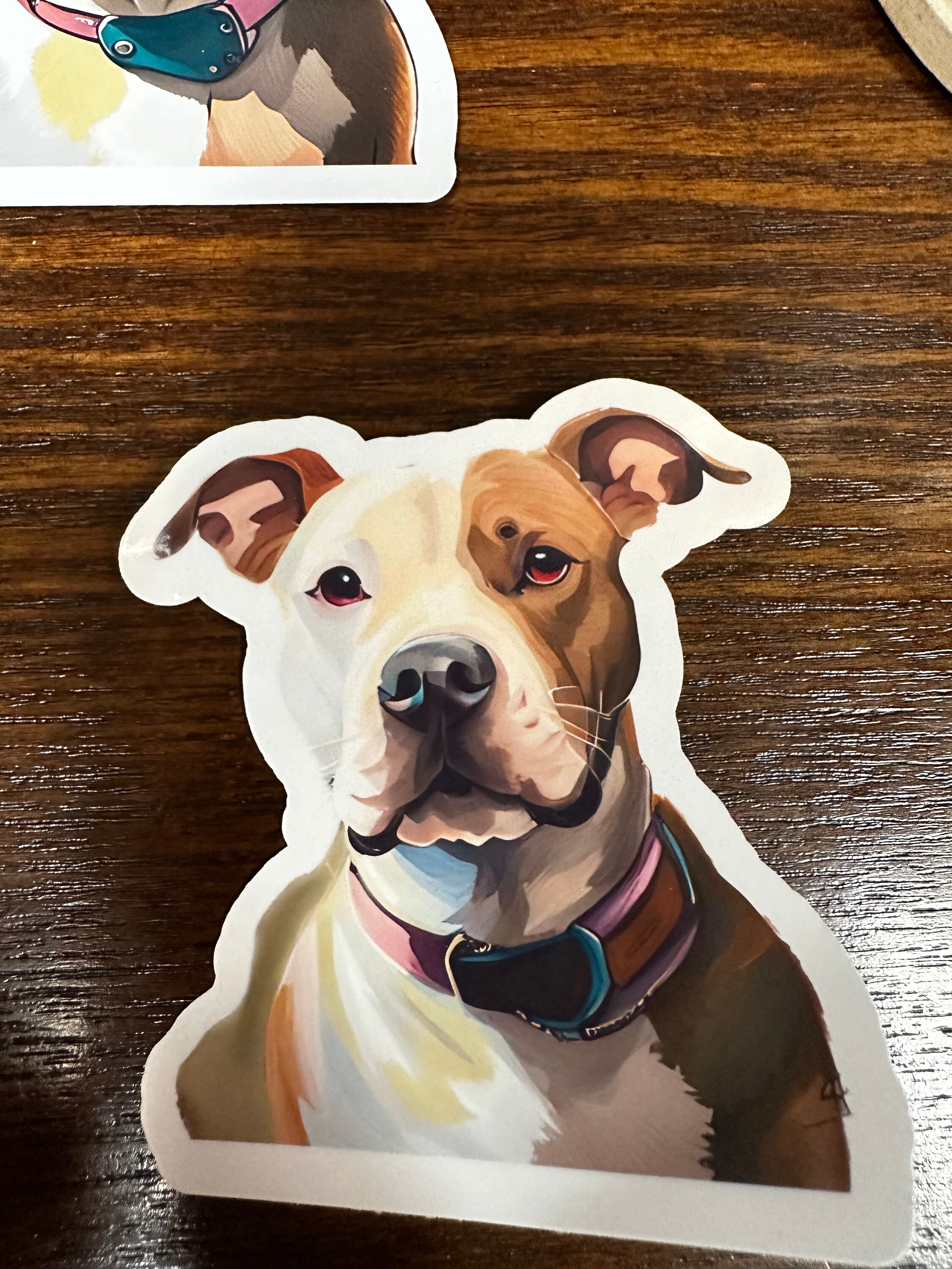 Custom Hand Made Vinyl Sticker of Your Pet, 10pk, Custom Stickers, Cat