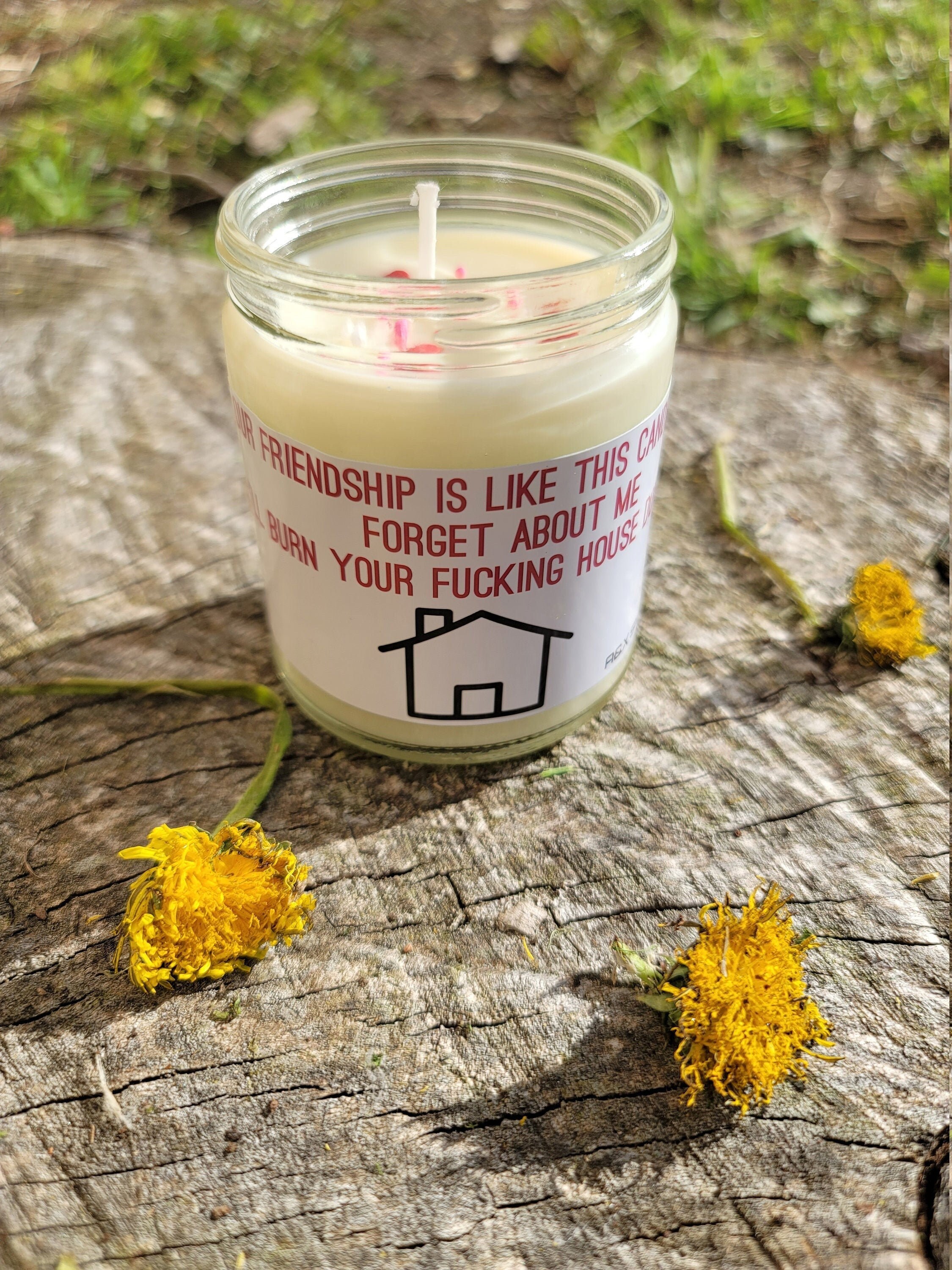 12oz our Friendship is Like This Candle About Me Etsy UK