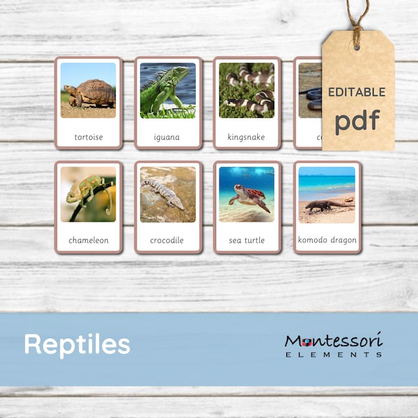 REPTILES - Cartes Montessori, Cartes de Nomenclature, Imprimables Montessori, Zoologie, Cartes Flash Montessori, Animaux, Reptiles Carte en 3 parties