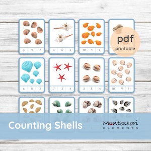 COUNTING SHELLS Clip Cards, Montessori Maths, Number Cards, Learning Numbers, 1-12, Counting Activity, Montessori Toddlers, Number Work