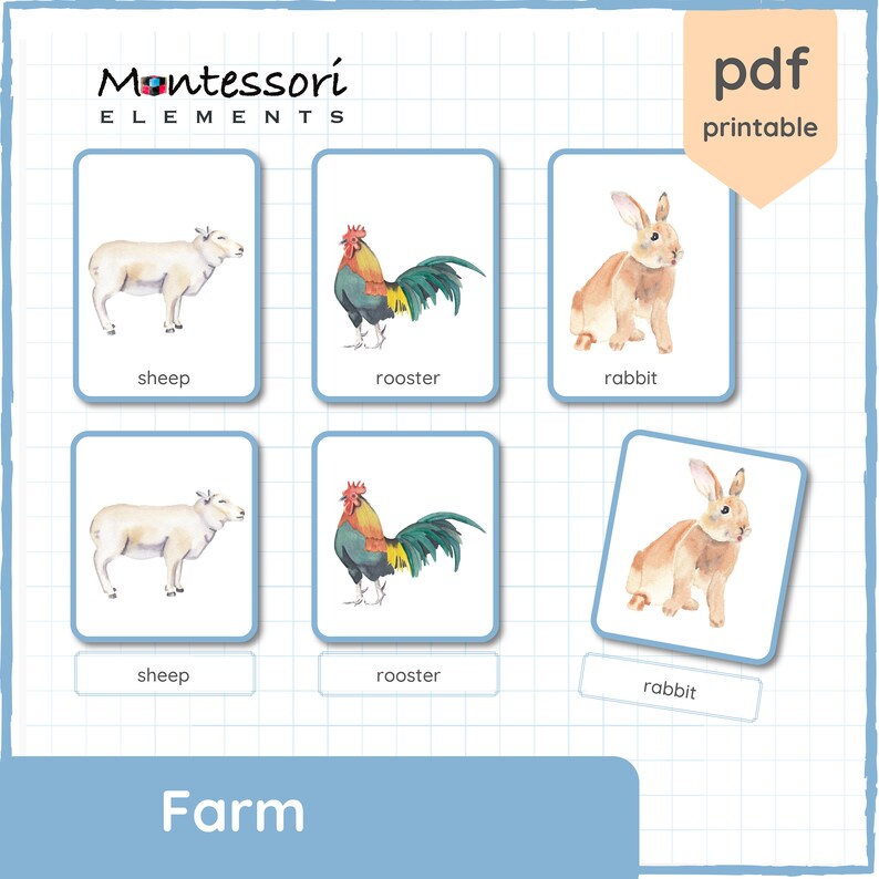 FARM ANIMALS Montessori Cards, Three Part Cards, Nomenclature Cards ...