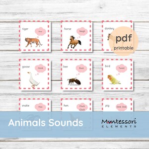 ANIMAL SOUNDS - Montessori Cards - Montessori Prints - Montessori Zoology - Homeschool - Kindergarten Worksheet - Brain Gym - Flash Cards