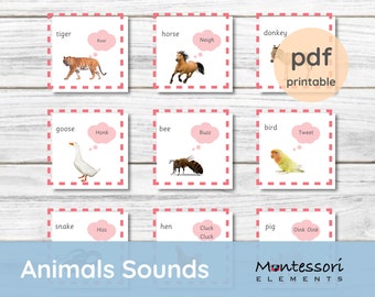 ANIMAL SOUNDS - Montessori Cards - Montessori Prints - Montessori Zoology - Homeschool - Kindergarten Worksheet - Brain Gym - Flash Cards