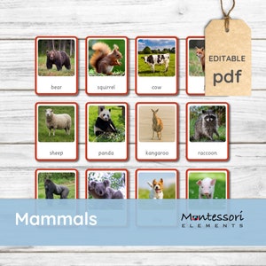 ZOOGDIEREN - Montessori-kaarten, nomenclatuurkaarten, Montessori-printables, zoölogie, Montessori-flashkaarten, dieren, zoogdieren 3-delige kaart