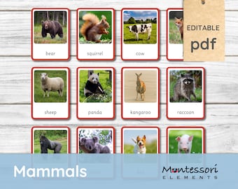 MAMMALS Montessori Cards Nomenclature Cards Montessori - Etsy MAMMALS Montessori Cards Nomenclature Cards Montessori - Etsy
