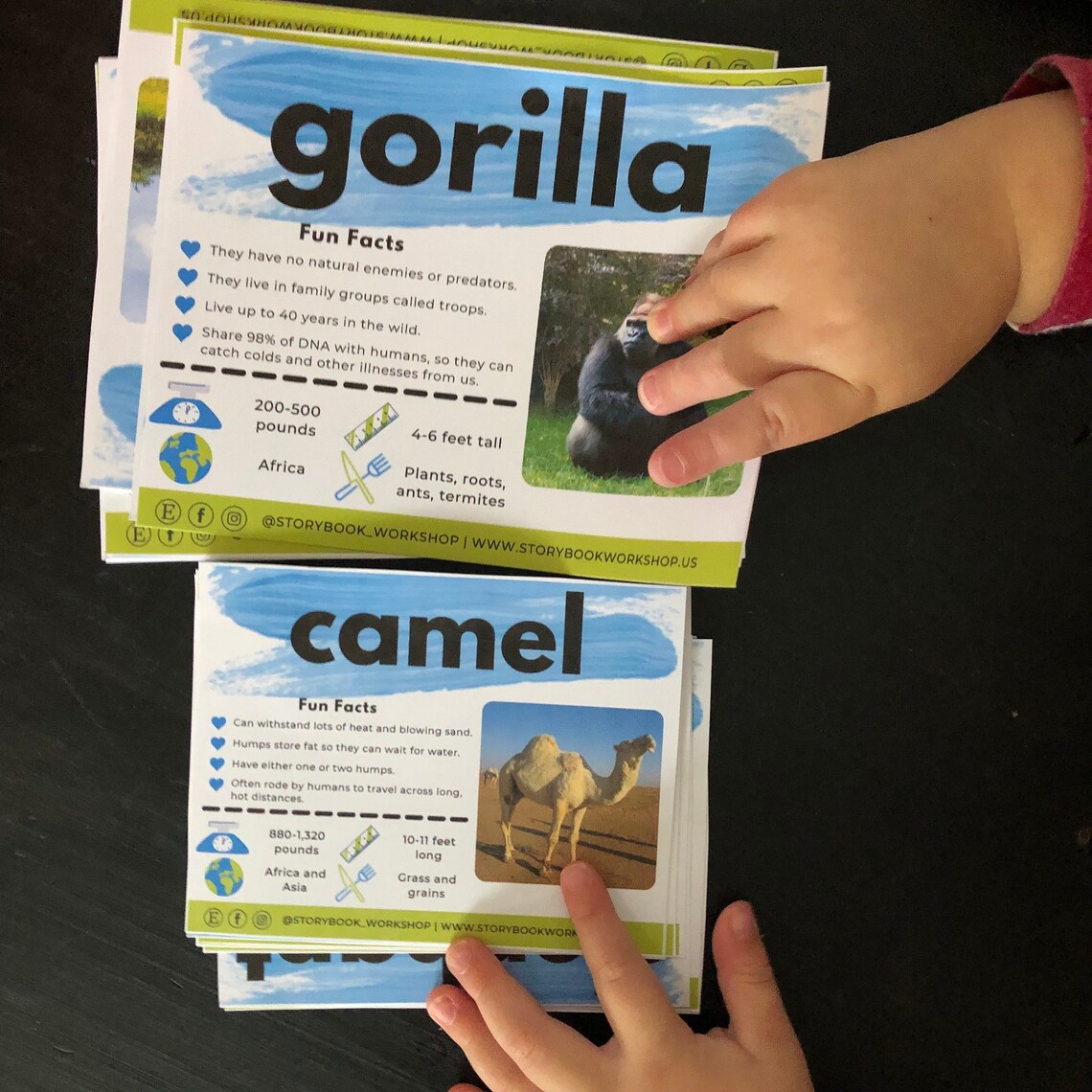 PRINTABLE Zoo Animal Fact Sheet BUNDLE Preschool Lesson Plan Etsy 